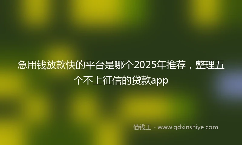 急用钱放款快的平台是哪个2025年推荐，整理五个不上征信的贷款app