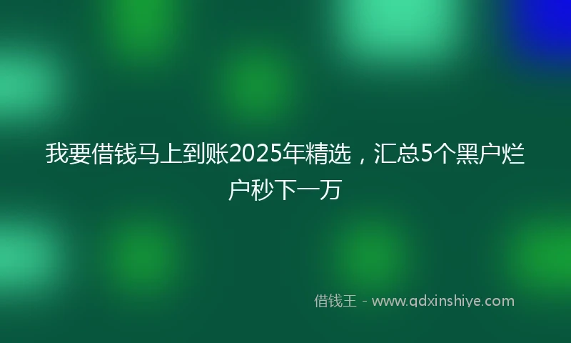 我要借钱马上到账2025年精选，汇总5个黑户烂户秒下一万