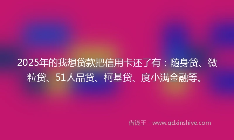 2025年的我想贷款把信用卡还了有：随身贷、微粒贷、51人品贷、柯基贷、度小满金融等。