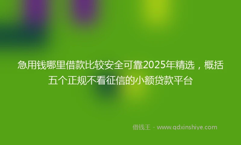 急用钱哪里借款比较安全可靠2025年精选，概括五个正规不看征信的小额贷款平台