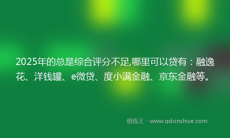 2025年的总是综合评分不足,哪里可以贷有：融逸花、洋钱罐、e微贷、度小满金融、京东金融等。