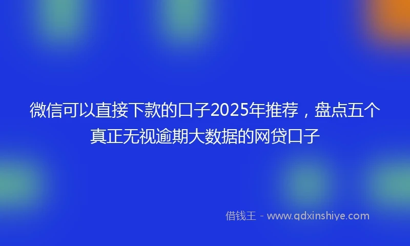 微信可以直接下款的口子2025年推荐，盘点五个真正无视逾期大数据的网贷口子
