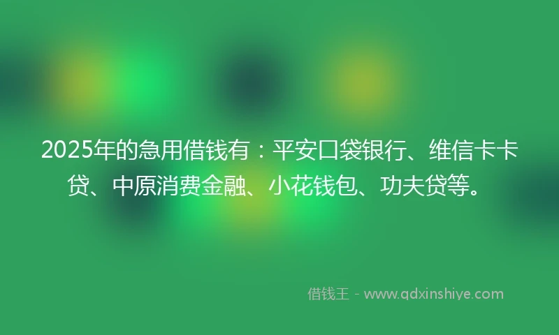 2025年的急用借钱有：平安口袋银行、维信卡卡贷、中原消费金融、小花钱包、功夫贷等。