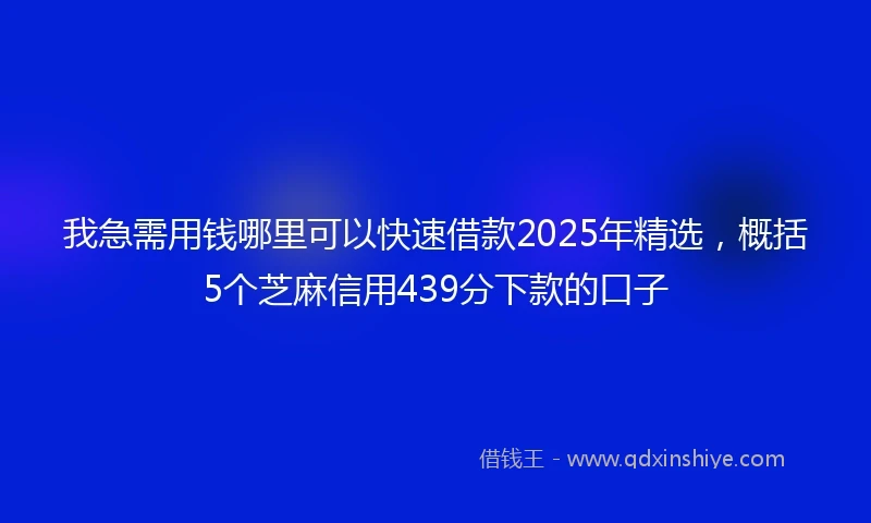 我急需用钱哪里可以快速借款2025年精选，概括5个芝麻信用439分下款的口子