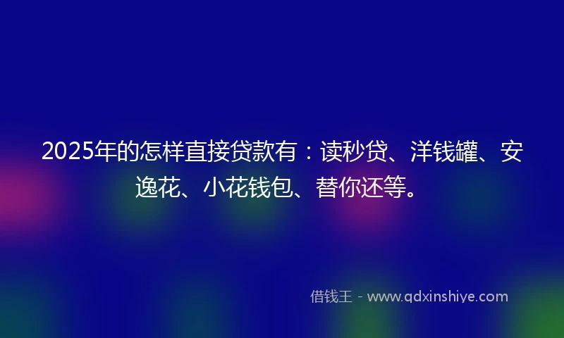 2025年的怎样直接贷款有：读秒贷、洋钱罐、安逸花、小花钱包、替你还等。