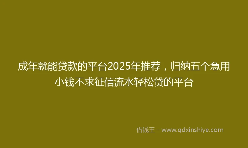 成年就能贷款的平台2025年推荐，归纳五个急用小钱不求征信流水轻松贷的平台