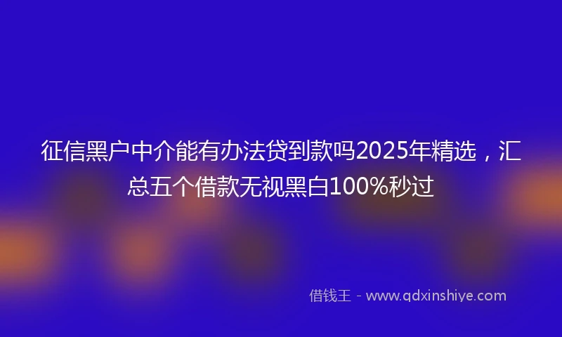 征信黑户中介能有办法贷到款吗2025年精选，汇总五个借款无视黑白100%秒过