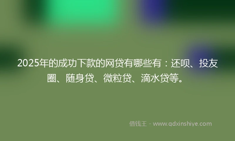 2025年的成功下款的网贷有哪些有：还呗、投友圈、随身贷、微粒贷、滴水贷等。
