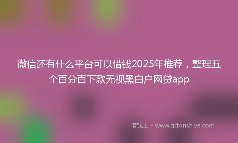 微信还有什么平台可以借钱2025年推荐，整理五个百分百下款无视黑白户网贷app