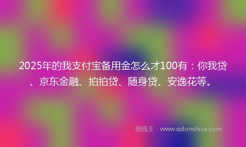 2025年的我支付宝备用金怎么才100有：你我贷、京东金融、拍拍贷、随身贷、安逸花等。