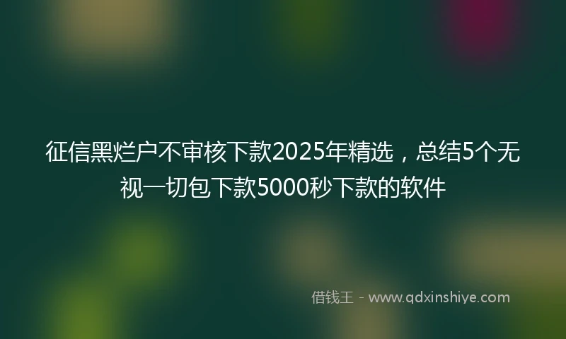 征信黑烂户不审核下款2025年精选，总结5个无视一切包下款5000秒下款的软件