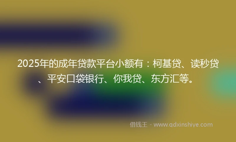 2025年的成年贷款平台小额有：柯基贷、读秒贷、平安口袋银行、你我贷、东方汇等。