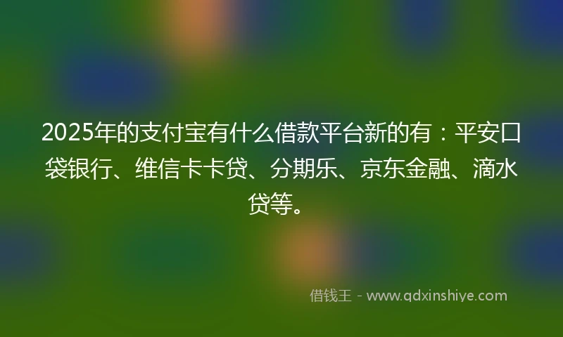 2025年的支付宝有什么借款平台新的有：平安口袋银行、维信卡卡贷、分期乐、京东金融、滴水贷等。