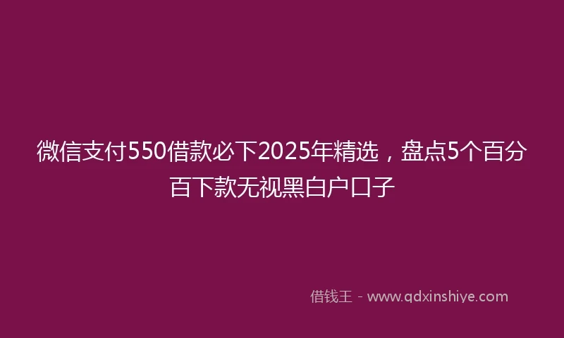 微信支付550借款必下2025年精选，盘点5个百分百下款无视黑白户口子