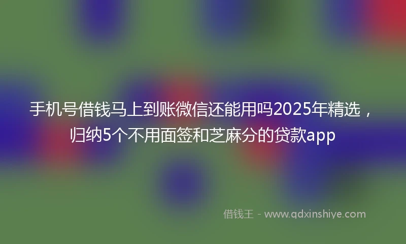 手机号借钱马上到账微信还能用吗2025年精选，归纳5个不用面签和芝麻分的贷款app