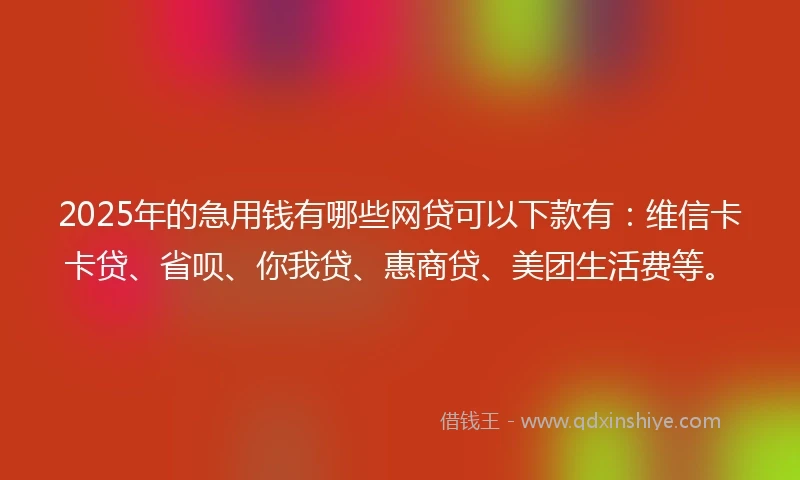 2025年的急用钱有哪些网贷可以下款有：维信卡卡贷、省呗、你我贷、惠商贷、美团生活费等。