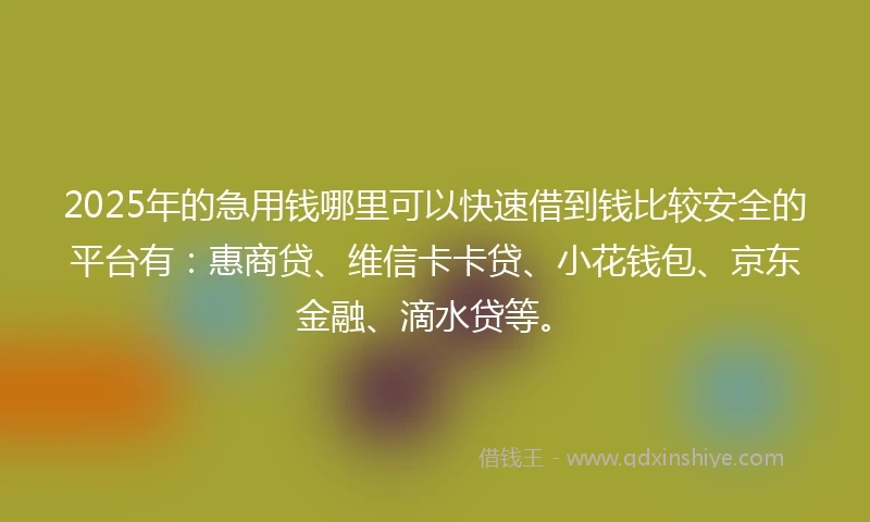 2025年的急用钱哪里可以快速借到钱比较安全的平台有：惠商贷、维信卡卡贷、小花钱包、京东金融、滴水贷等。