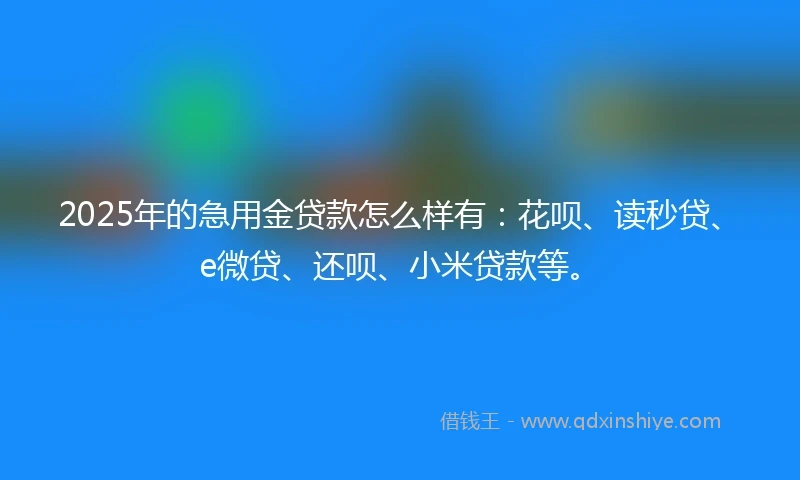 2025年的急用金贷款怎么样有：花呗、读秒贷、e微贷、还呗、小米贷款等。