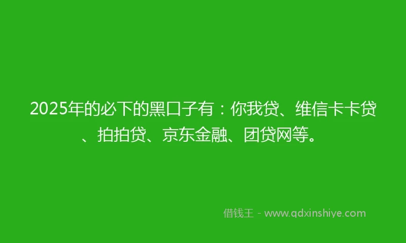 2025年的必下的黑口子有：你我贷、维信卡卡贷、拍拍贷、京东金融、团贷网等。