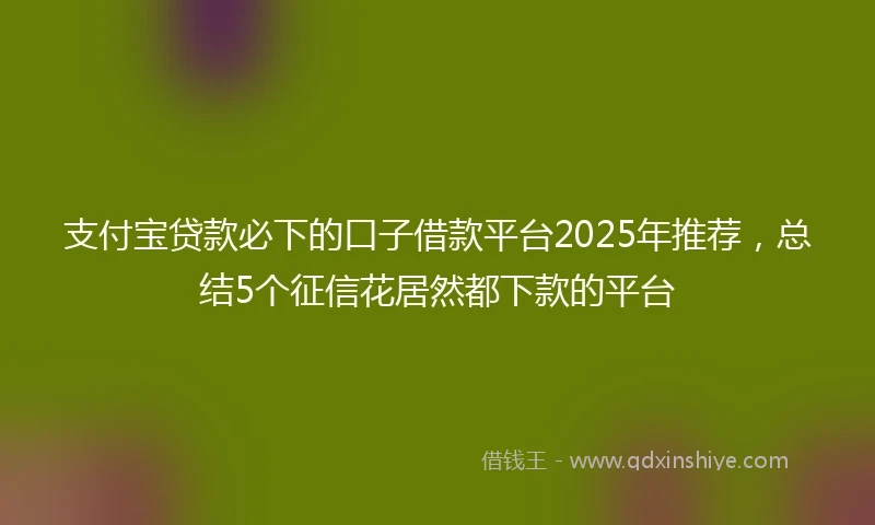 支付宝贷款必下的口子借款平台2025年推荐，总结5个征信花居然都下款的平台