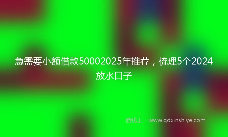 急需要小额借款50002025年推荐，梳理5个2024放水口子
