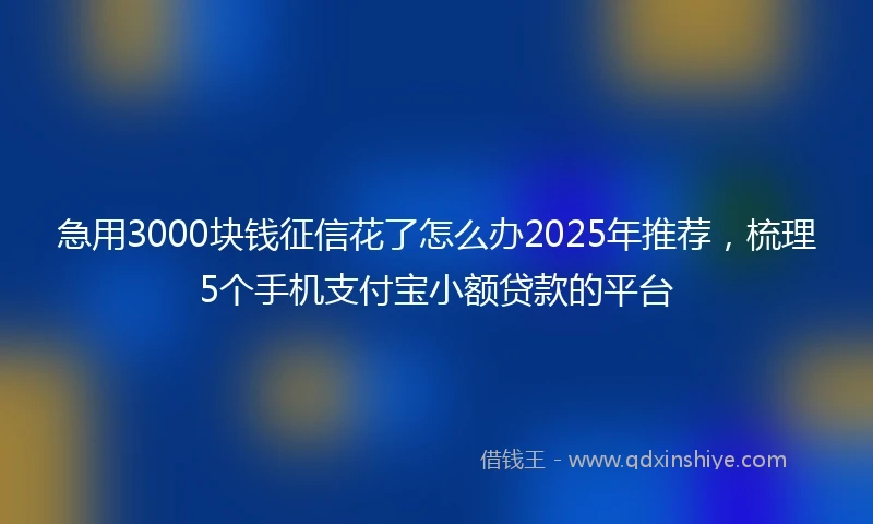 急用3000块钱征信花了怎么办2025年推荐，梳理5个手机支付宝小额贷款的平台
