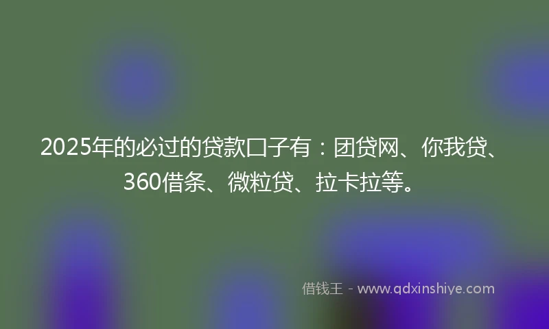 2025年的必过的贷款囗子有：团贷网、你我贷、360借条、微粒贷、拉卡拉等。