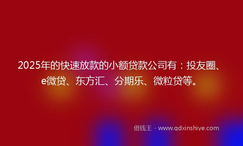 2025年的快速放款的小额贷款公司有：投友圈、e微贷、东方汇、分期乐、微粒贷等。