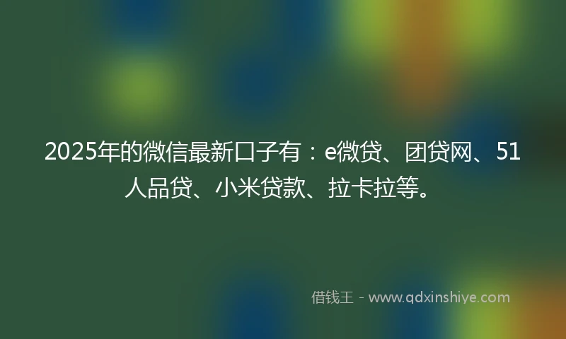 2025年的微信最新口子有：e微贷、团贷网、51人品贷、小米贷款、拉卡拉等。