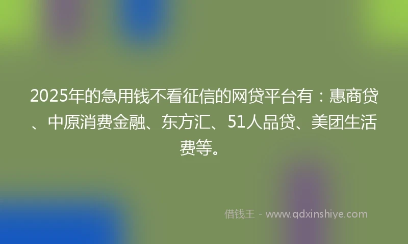 2025年的急用钱不看征信的网贷平台有：惠商贷、中原消费金融、东方汇、51人品贷、美团生活费等。