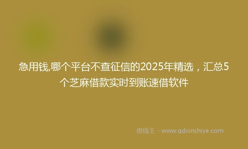 急用钱,哪个平台不查征信的2025年精选，汇总5个芝麻借款实时到账速借软件