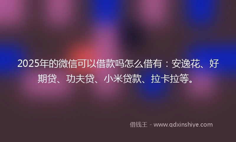 2025年的微信可以借款吗怎么借有：安逸花、好期贷、功夫贷、小米贷款、拉卡拉等。