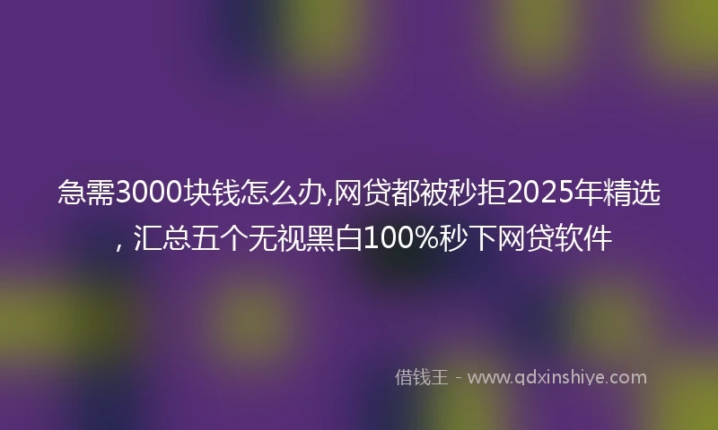 急需3000块钱怎么办,网贷都被秒拒2025年精选，汇总五个无视黑白100%秒下网贷软件