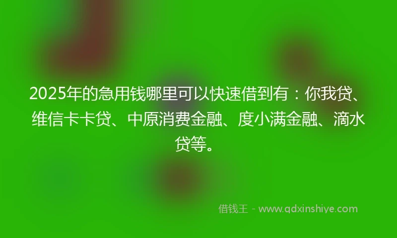 2025年的急用钱哪里可以快速借到有：你我贷、维信卡卡贷、中原消费金融、度小满金融、滴水贷等。