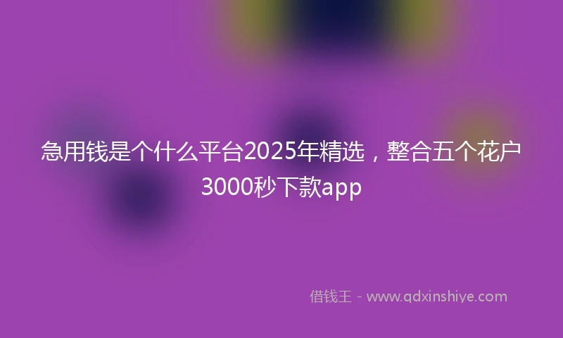急用钱是个什么平台2025年精选，整合五个花户3000秒下款app