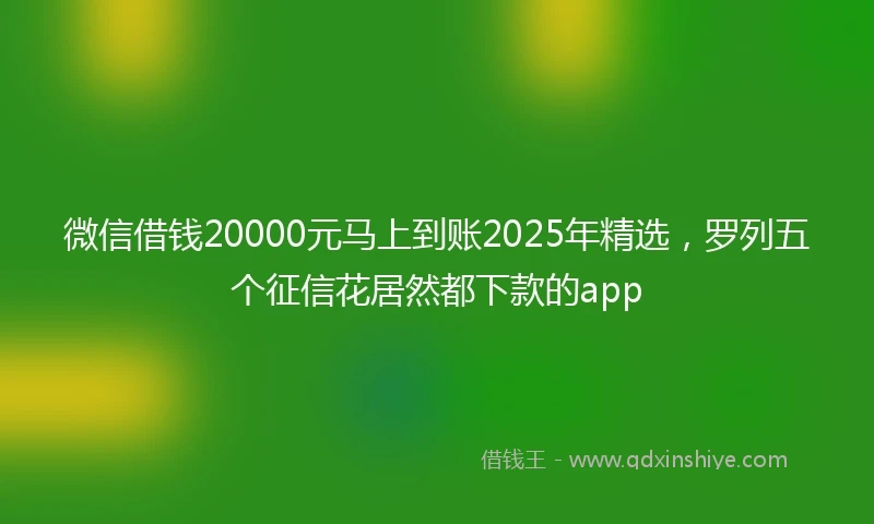 微信借钱20000元马上到账2025年精选，罗列五个征信花居然都下款的app