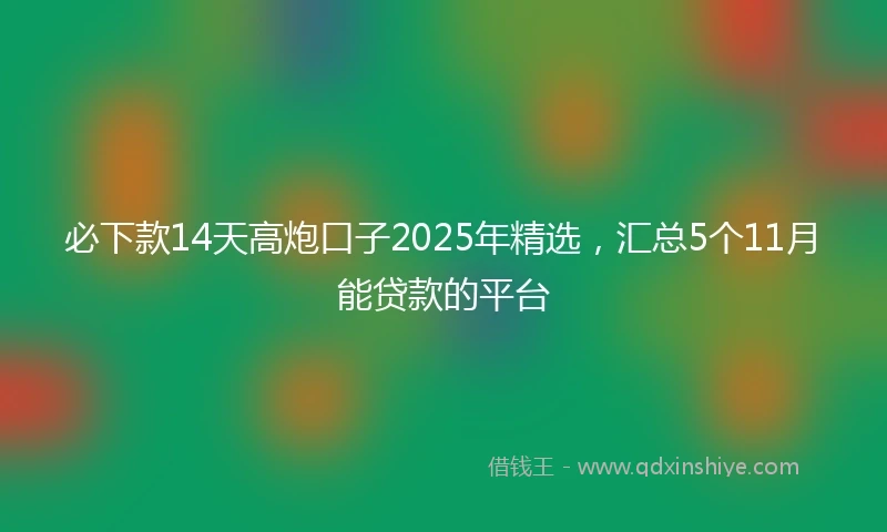 必下款14天高炮口子2025年精选，汇总5个11月能贷款的平台