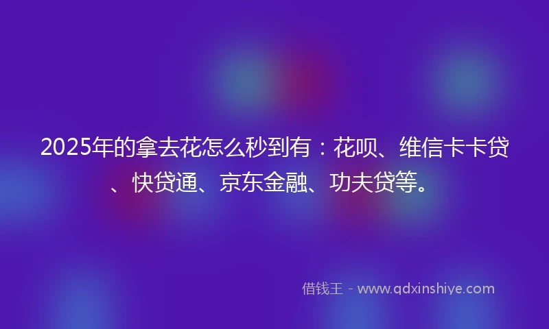 2025年的拿去花怎么秒到有：花呗、维信卡卡贷、快贷通、京东金融、功夫贷等。