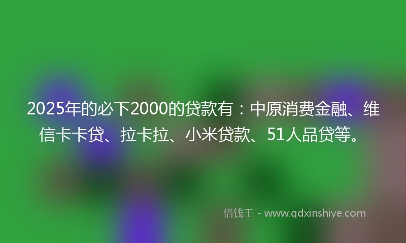 2025年的必下2000的贷款有：中原消费金融、维信卡卡贷、拉卡拉、小米贷款、51人品贷等。