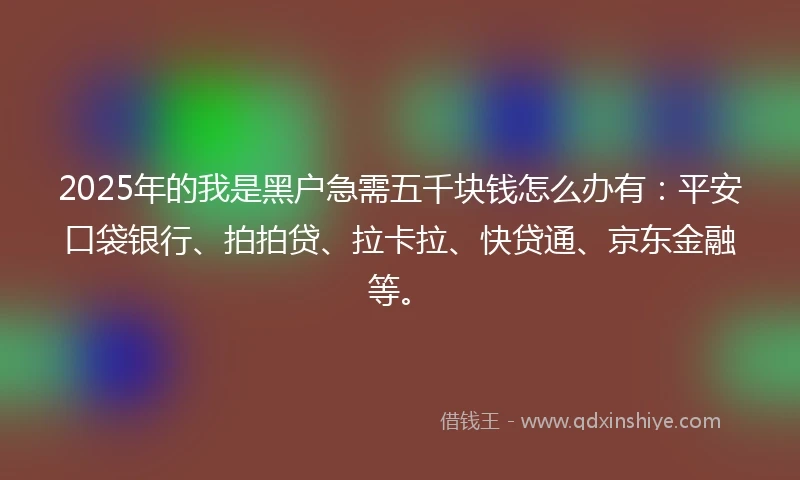 2025年的我是黑户急需五千块钱怎么办有：平安口袋银行、拍拍贷、拉卡拉、快贷通、京东金融等。