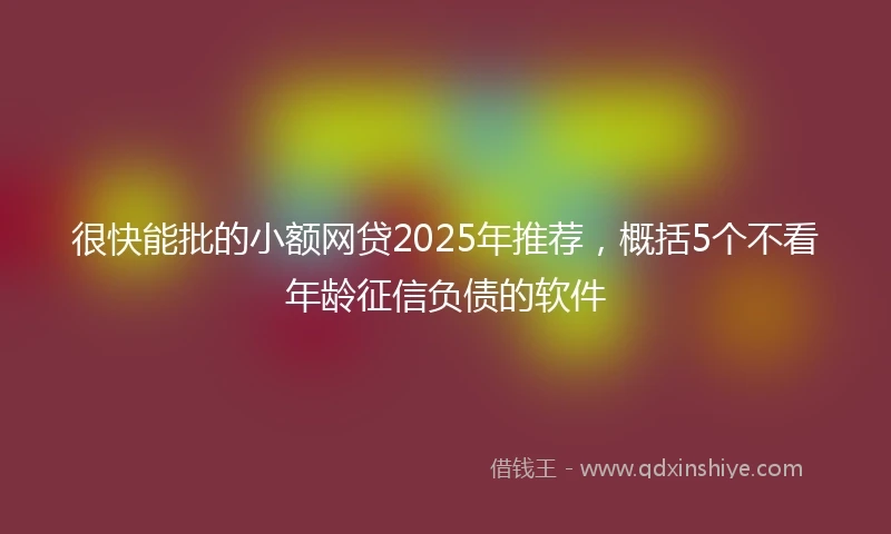 很快能批的小额网贷2025年推荐，概括5个不看年龄征信负债的软件