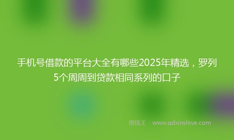 手机号借款的平台大全有哪些2025年精选，罗列5个周周到贷款相同系列的口子