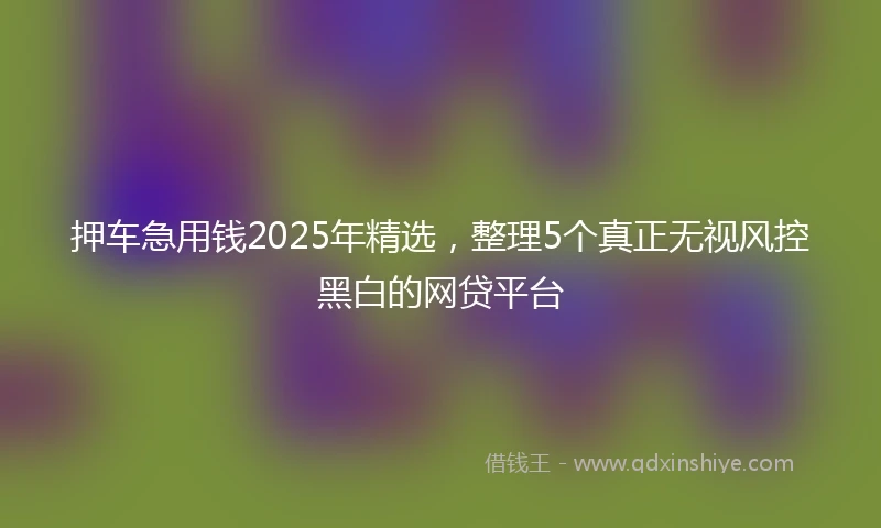 押车急用钱2025年精选，整理5个真正无视风控黑白的网贷平台
