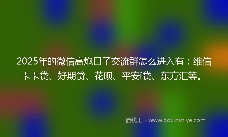2025年的微信高炮口子交流群怎么进入有：维信卡卡贷、好期贷、花呗、平安i贷、东方汇等。