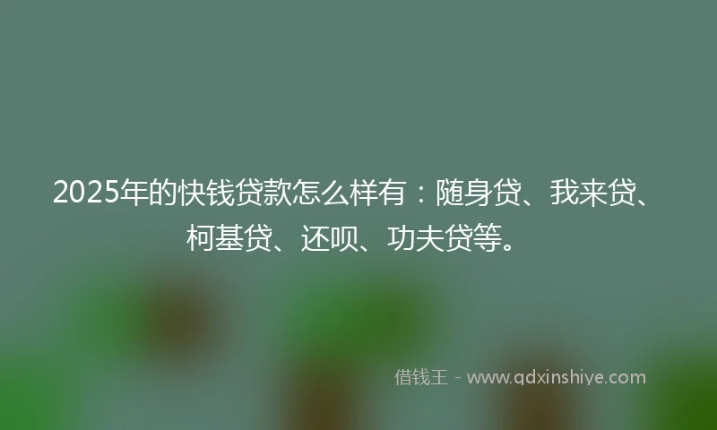 2025年的快钱贷款怎么样有：随身贷、我来贷、柯基贷、还呗、功夫贷等。