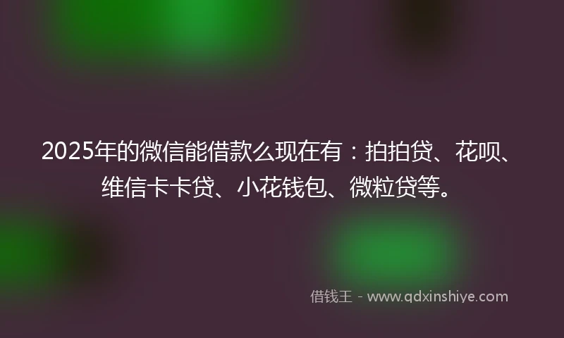 2025年的微信能借款么现在有：拍拍贷、花呗、维信卡卡贷、小花钱包、微粒贷等。