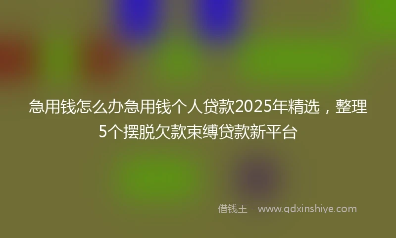 急用钱怎么办急用钱个人贷款2025年精选，整理5个摆脱欠款束缚贷款新平台