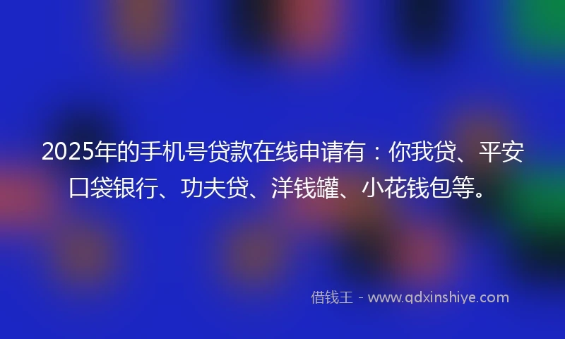 2025年的手机号贷款在线申请有：你我贷、平安口袋银行、功夫贷、洋钱罐、小花钱包等。