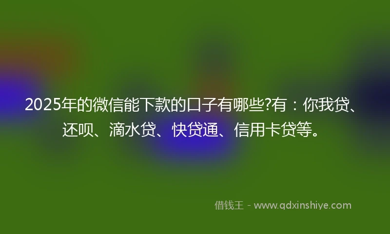 2025年的微信能下款的口子有哪些?有：你我贷、还呗、滴水贷、快贷通、信用卡贷等。
