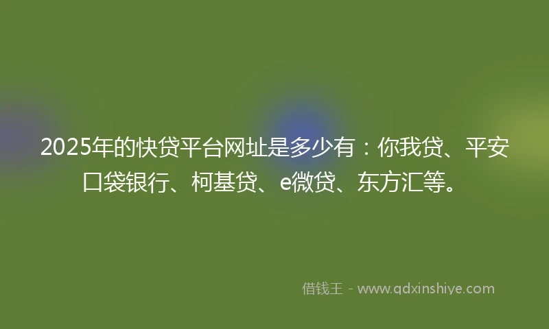 2025年的快贷平台网址是多少有：你我贷、平安口袋银行、柯基贷、e微贷、东方汇等。